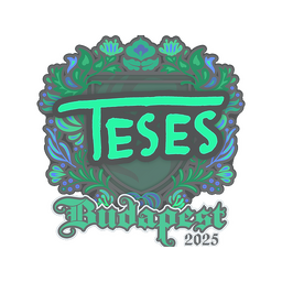 TeSeS | Budapest 2025