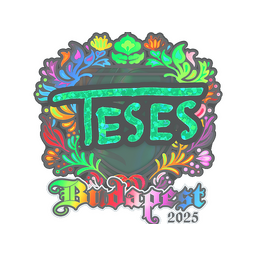 TeSeS (Holo) | Budapest 2025