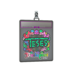 Sticker Slab | TeSeS (Holo) | Budapest 2025
