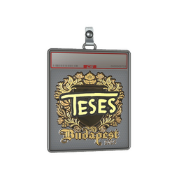 Sticker Slab | TeSeS (Gold) | Budapest 2025