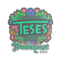 TeSeS (Embroidered) | Budapest 2025