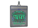 Sticker Slab | TeSeS | Budapest 2025