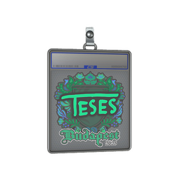 Sticker Slab | TeSeS | Budapest 2025