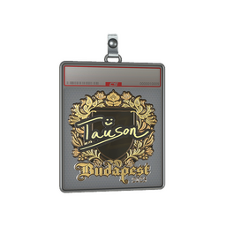 Sticker Slab | Tauson (Gold) | Budapest 2025