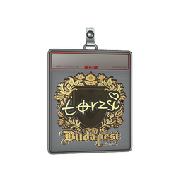 Sticker Slab | torzsi (Gold) | Budapest 2025