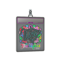 Sticker Slab | woxic (Holo) | Budapest 2025