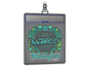Sticker Slab | XANTARES | Budapest 2025