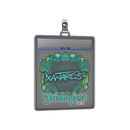 Sticker Slab | XANTARES | Budapest 2025