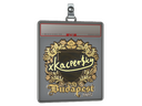 Sticker Slab | xKacpersky (Gold) | Budapest 2025