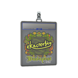 Sticker Slab | xKacpersky | Budapest 2025