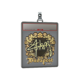 Sticker Slab | z4KR (Gold) | Budapest 2025