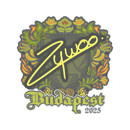 ZywOo | Budapest 2025