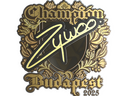 Sticker | ZywOo (Gold, Champion) | Budapest 2025
