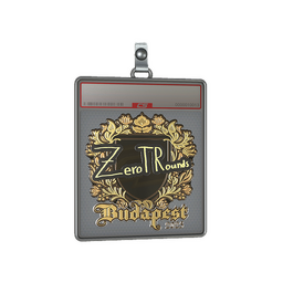 Sticker Slab | ztr (Gold) | Budapest 2025