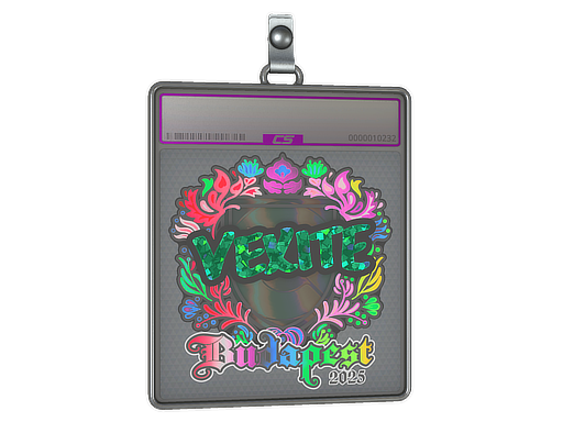 Sticker Slab | vexite (Holo) | Budapest 2025