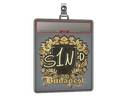 Sticker Slab | s1n (Gold) | Budapest 2025