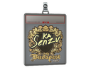 Sticker Slab | Senzu (Gold) | Budapest 2025