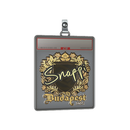 Sticker Slab | Snappi (Gold) | Budapest 2025