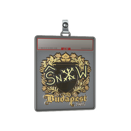Sticker Slab | snow (Gold) | Budapest 2025