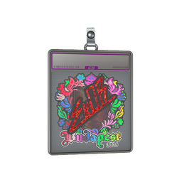 Sticker Slab | sk0R (Holo) | Budapest 2025