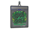 Sticker Slab | skullz | Budapest 2025