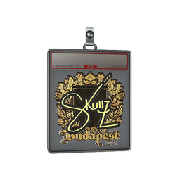 Sticker Slab | skullz (Gold) | Budapest 2025