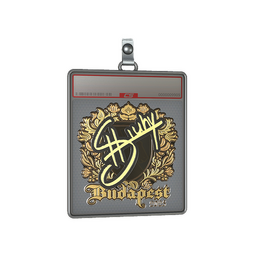 Sticker Slab | siuhy (Gold) | Budapest 2025