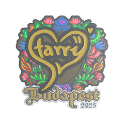 Starry (Embroidered) | Budapest 2025