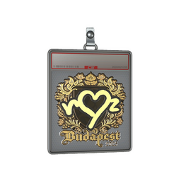 Sticker Slab | ropz (Gold) | Budapest 2025