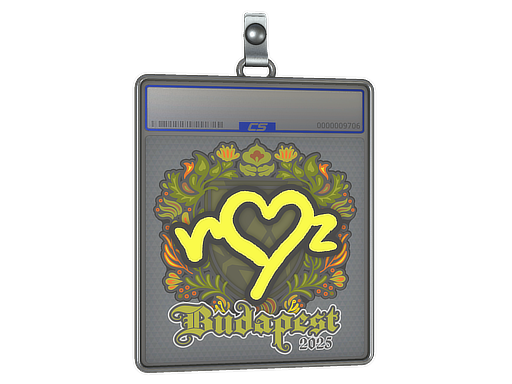 Sticker Slab | ropz | Budapest 2025