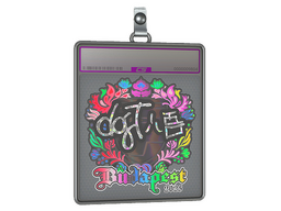 Sticker Slab | dgt (Holo) | Budapest 2025