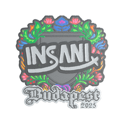 insani (Embroidered) | Budapest 2025
