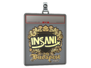 Sticker Slab | insani (Gold) | Budapest 2025