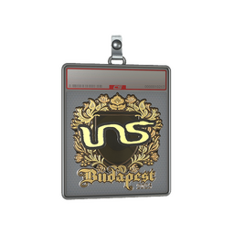 Sticker Slab | INS (Gold) | Budapest 2025