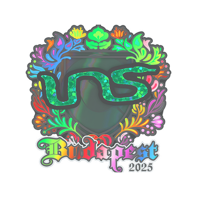 Sticker | INS (Holo) | Budapest 2025