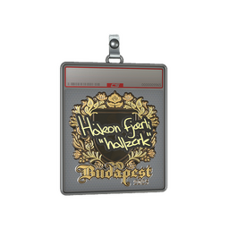 Sticker Slab | hallzerk (Gold) | Budapest 2025