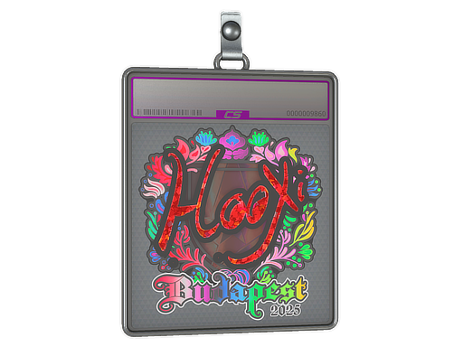 Sticker Slab | HooXi (Holo) | Budapest 2025