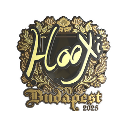 HooXi (Gold) | Budapest 2025