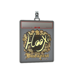 Sticker Slab | HooXi (Gold) | Budapest 2025