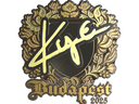 Sticker | kye (Gold) | Budapest 2025
