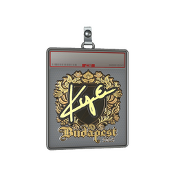 Sticker Slab | kye (Gold) | Budapest 2025