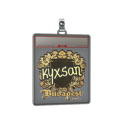 Sticker Slab | kyxsan (Gold) | Budapest 2025