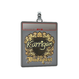 Sticker Slab | karrigan (Gold) | Budapest 2025