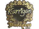 Sticker | karrigan (Gold) | Budapest 2025
