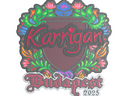 Sticker | karrigan (Embroidered) | Budapest 2025