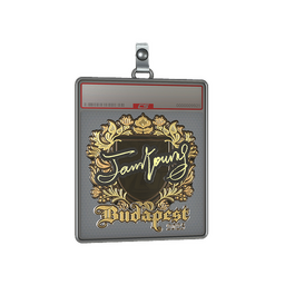 Sticker Slab | JamYoung (Gold) | Budapest 2025