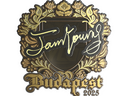 Sticker | JamYoung (Gold) | Budapest 2025