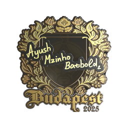 mzinho (Gold) | Budapest 2025