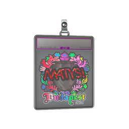 Sticker Slab | MATYS (Holo) | Budapest 2025