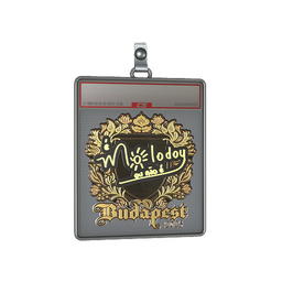 Sticker Slab | molodoy (Gold) | Budapest 2025